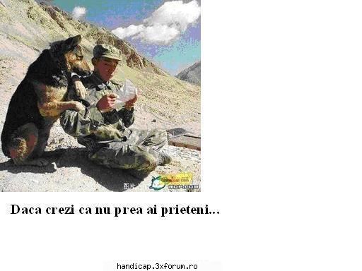 Exemple de urmat. - Poti avea un prieten neconditionat - Povesti De Viata