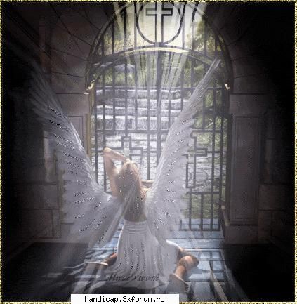 In cautarea sufletului pereche. - DACA EXISTA VREO FATA CARE AR VREA SA MA CUNOASCA - Suflet Aproape